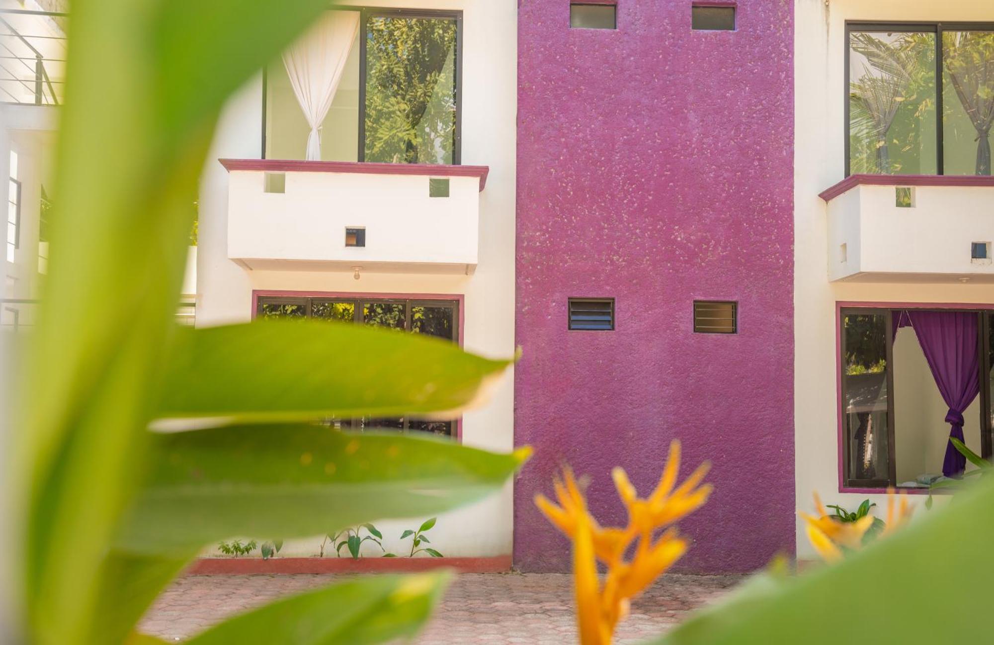פוארטו אסקונדידו Hotel Palmarito מראה חיצוני תמונה